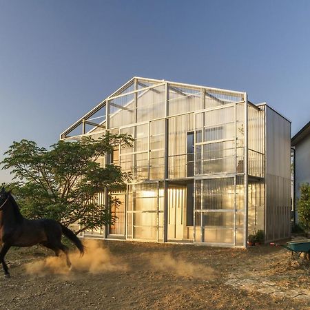 Anonima Agricola Villa Orbetello Bagian luar foto