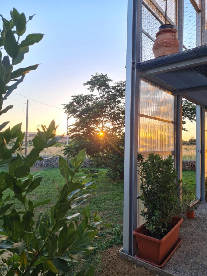 Anonima Agricola Villa Orbetello Bagian luar foto