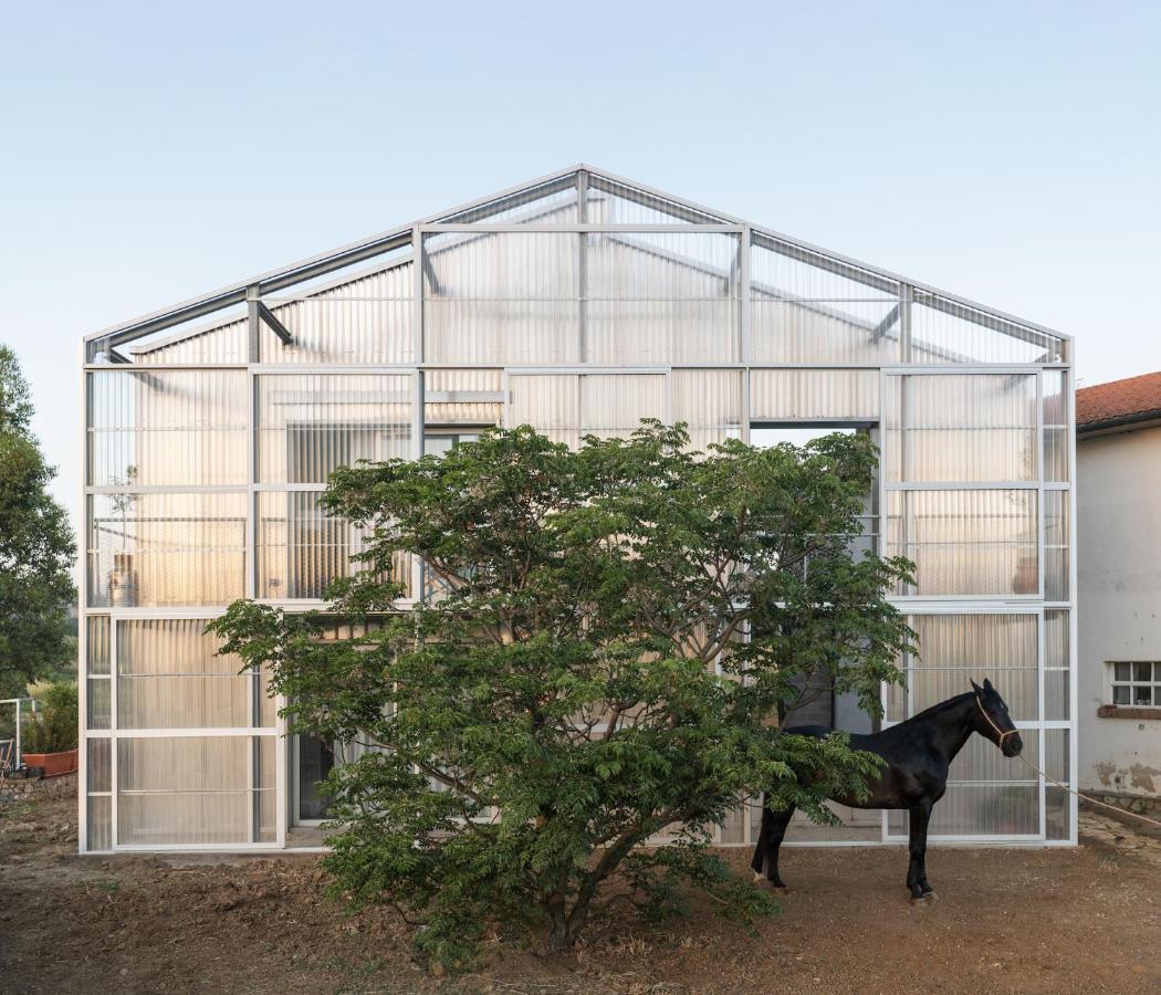 Anonima Agricola Villa Orbetello Bagian luar foto